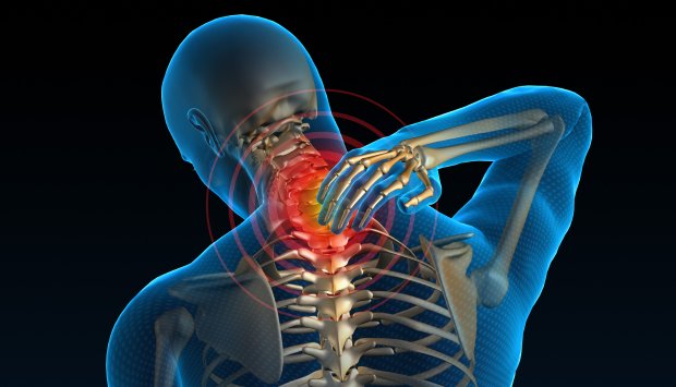 Vertebra of the Month